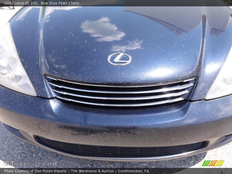 Blue Onyx Pearl / Ivory 2002 Lexus ES 300