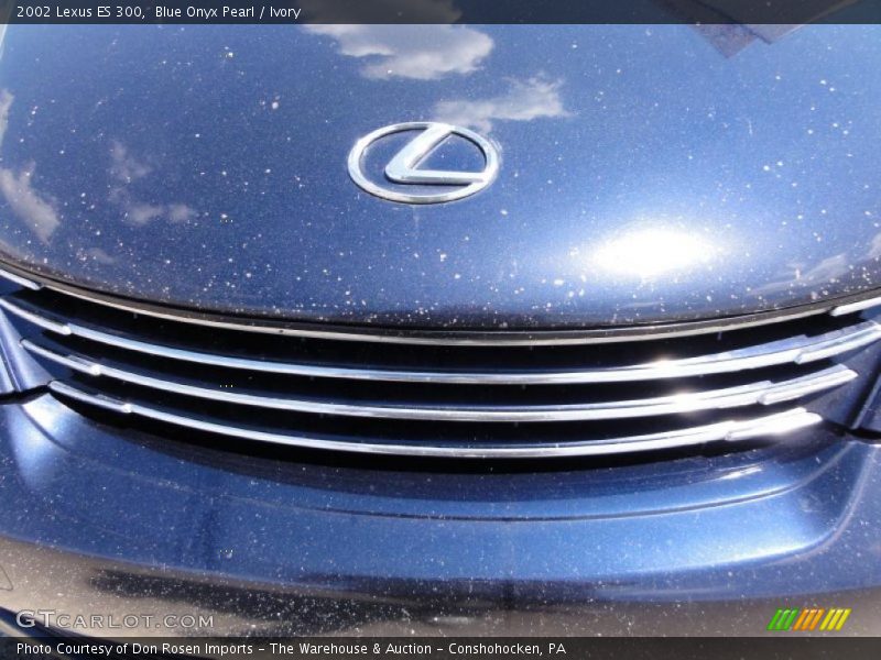 Blue Onyx Pearl / Ivory 2002 Lexus ES 300