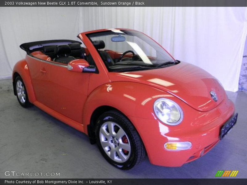 Sundown Orange / Black 2003 Volkswagen New Beetle GLX 1.8T Convertible