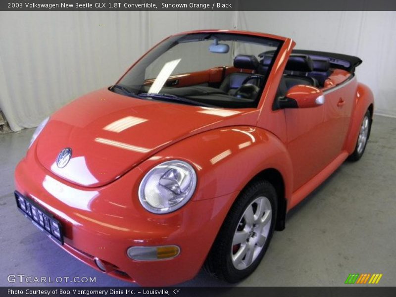 Sundown Orange / Black 2003 Volkswagen New Beetle GLX 1.8T Convertible