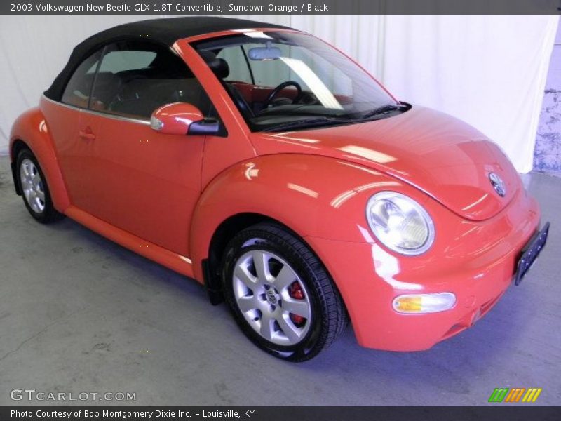 Sundown Orange / Black 2003 Volkswagen New Beetle GLX 1.8T Convertible