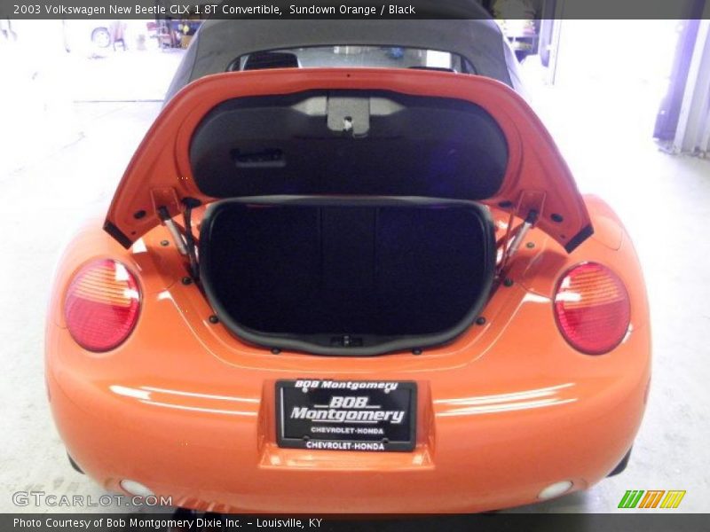 Sundown Orange / Black 2003 Volkswagen New Beetle GLX 1.8T Convertible