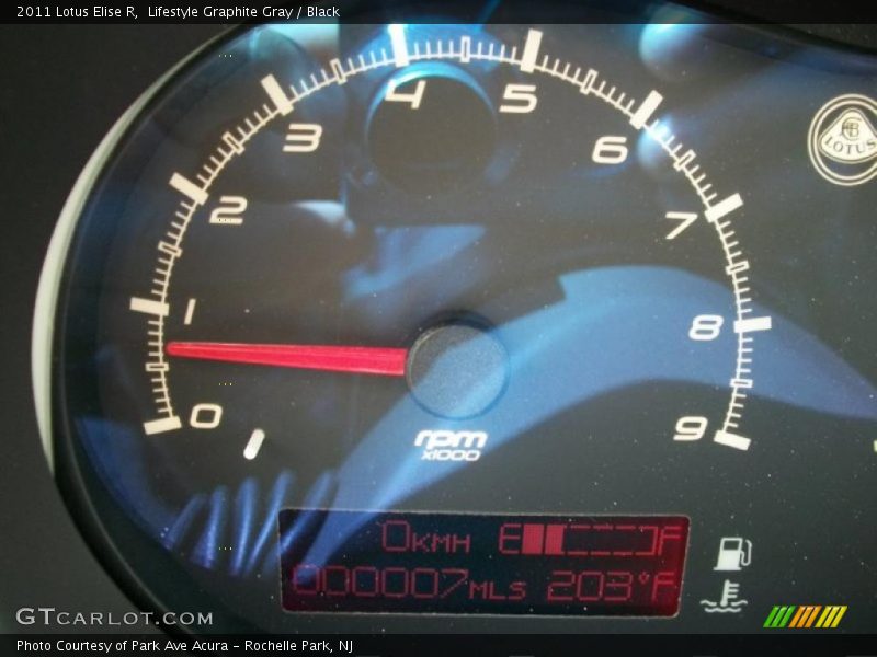  2011 Elise R R Gauges