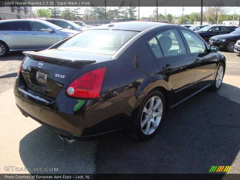 Super Black / Frost 2008 Nissan Maxima 3.5 SE