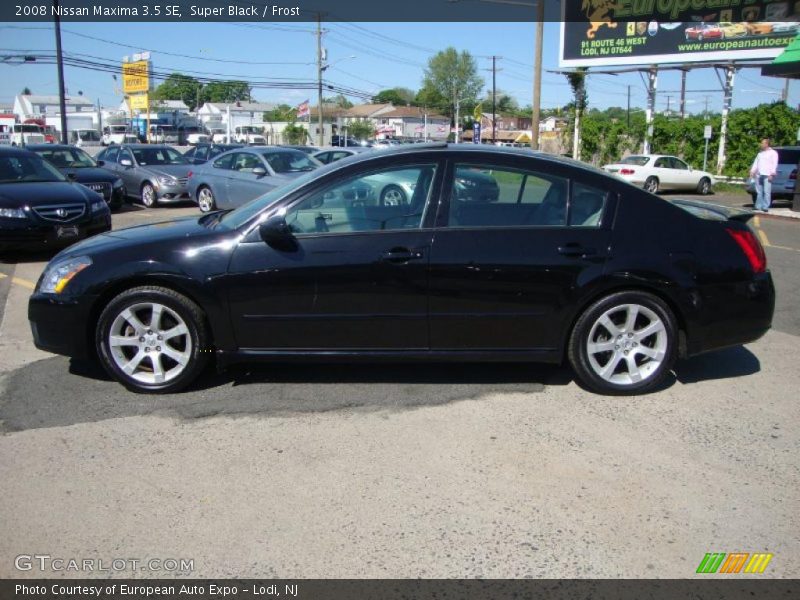 Super Black / Frost 2008 Nissan Maxima 3.5 SE