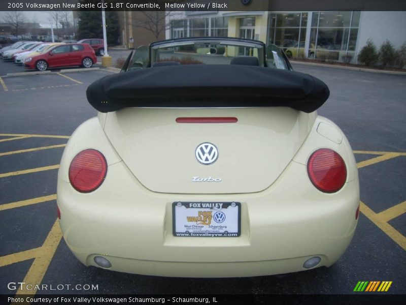 Mellow Yellow / Black 2005 Volkswagen New Beetle GLS 1.8T Convertible