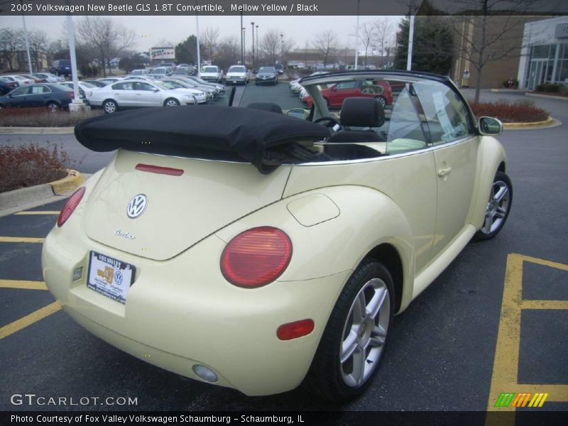 Mellow Yellow / Black 2005 Volkswagen New Beetle GLS 1.8T Convertible