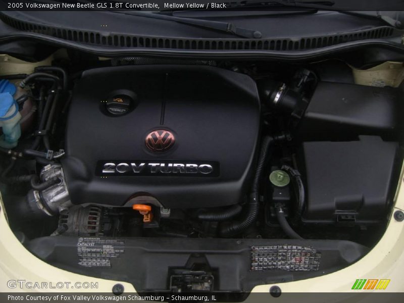 Mellow Yellow / Black 2005 Volkswagen New Beetle GLS 1.8T Convertible