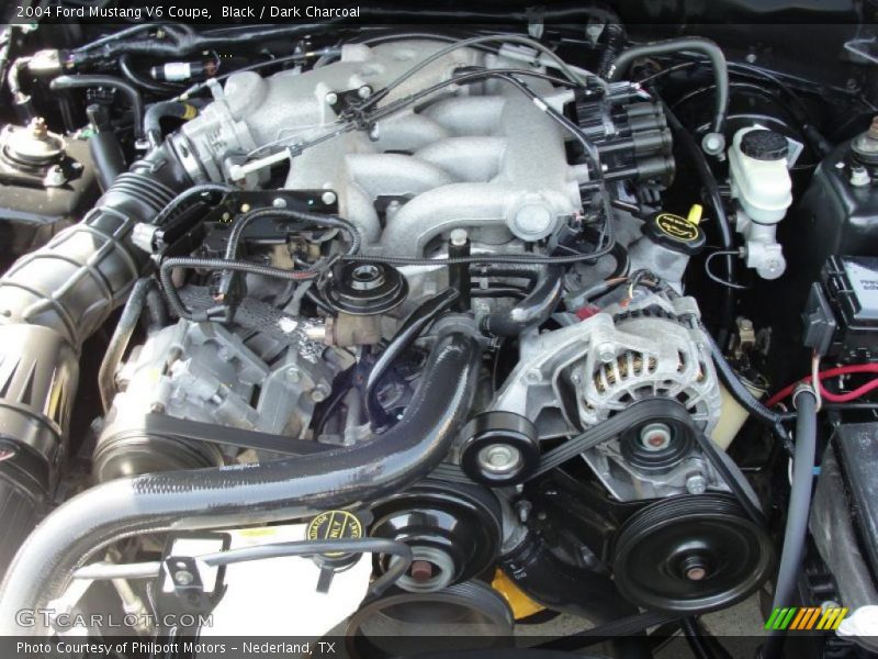 Black / Dark Charcoal 2004 Ford Mustang V6 Coupe