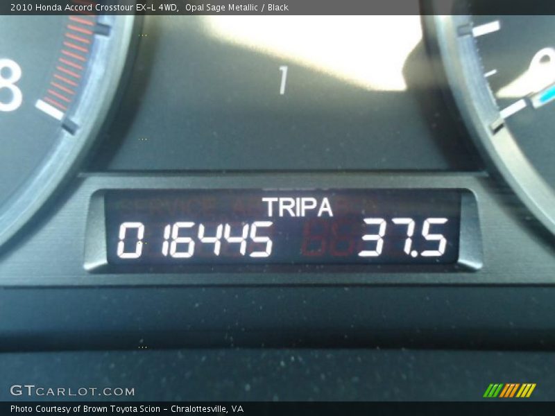 Opal Sage Metallic / Black 2010 Honda Accord Crosstour EX-L 4WD