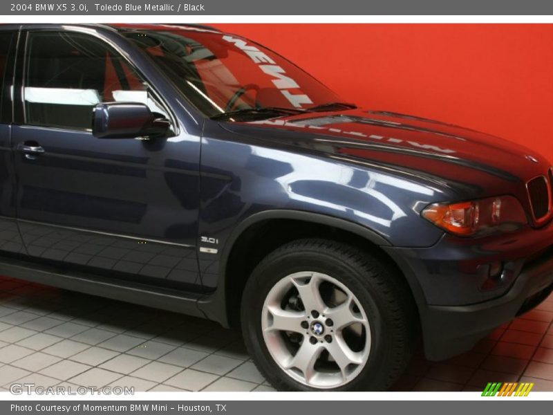 Toledo Blue Metallic / Black 2004 BMW X5 3.0i