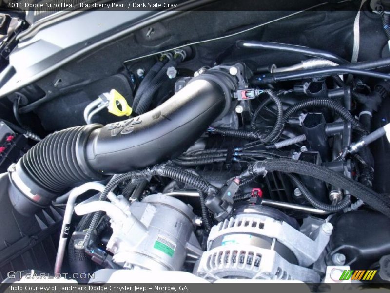Blackberry Pearl / Dark Slate Gray 2011 Dodge Nitro Heat
