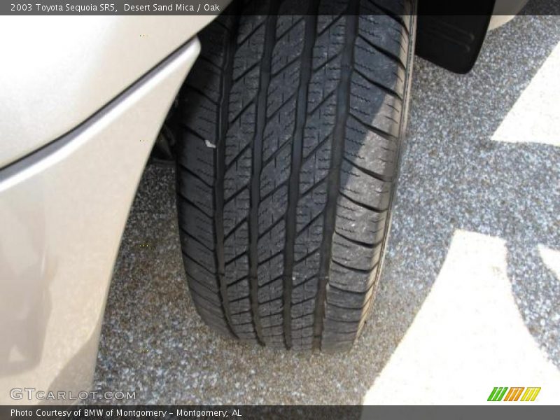 Desert Sand Mica / Oak 2003 Toyota Sequoia SR5