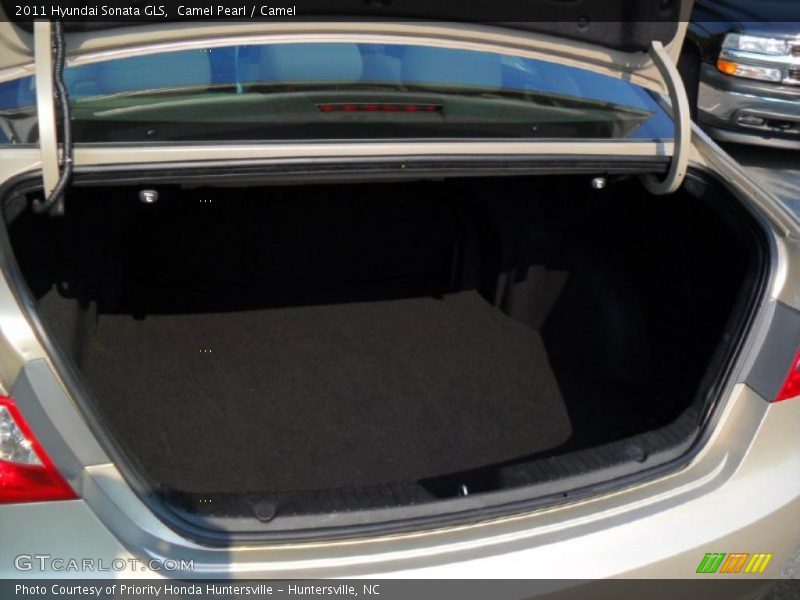 Camel Pearl / Camel 2011 Hyundai Sonata GLS