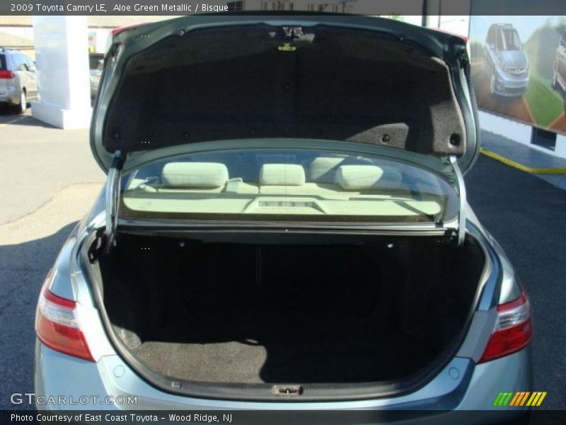 Aloe Green Metallic / Bisque 2009 Toyota Camry LE