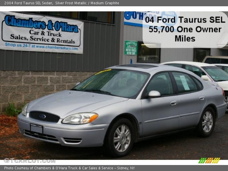 Silver Frost Metallic / Medium Graphite 2004 Ford Taurus SEL Sedan
