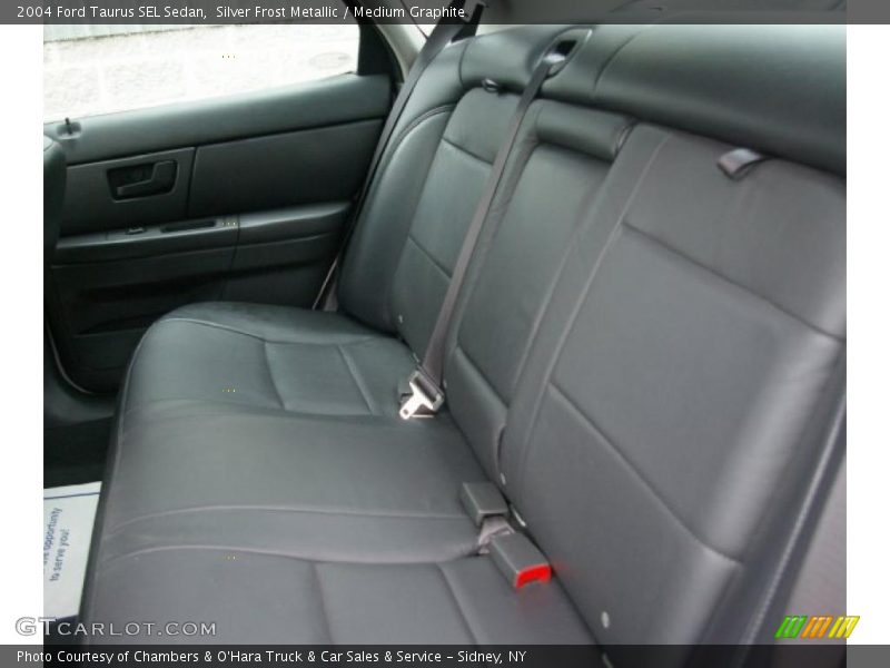 Silver Frost Metallic / Medium Graphite 2004 Ford Taurus SEL Sedan