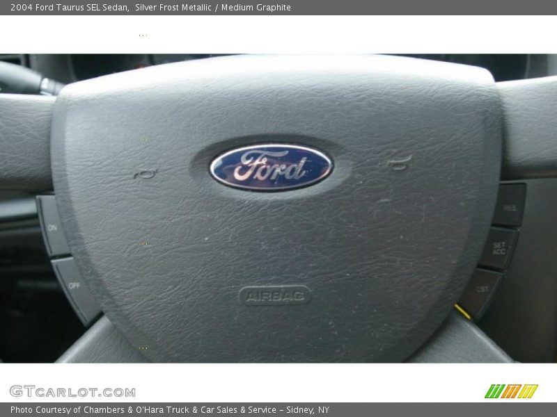 Silver Frost Metallic / Medium Graphite 2004 Ford Taurus SEL Sedan