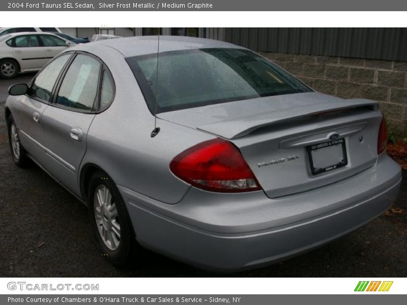 Silver Frost Metallic / Medium Graphite 2004 Ford Taurus SEL Sedan