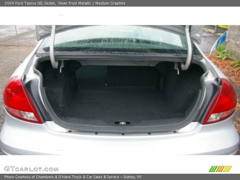 Silver Frost Metallic / Medium Graphite 2004 Ford Taurus SEL Sedan