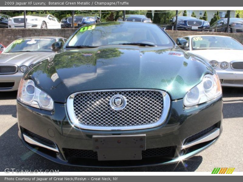 Botanical Green Metallic / Champagne/Truffle 2009 Jaguar XF Luxury
