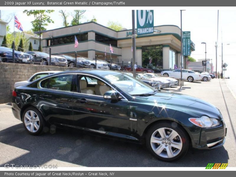 Botanical Green Metallic / Champagne/Truffle 2009 Jaguar XF Luxury