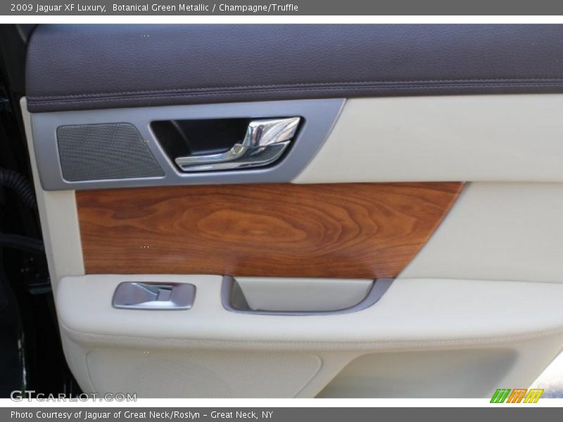 Botanical Green Metallic / Champagne/Truffle 2009 Jaguar XF Luxury