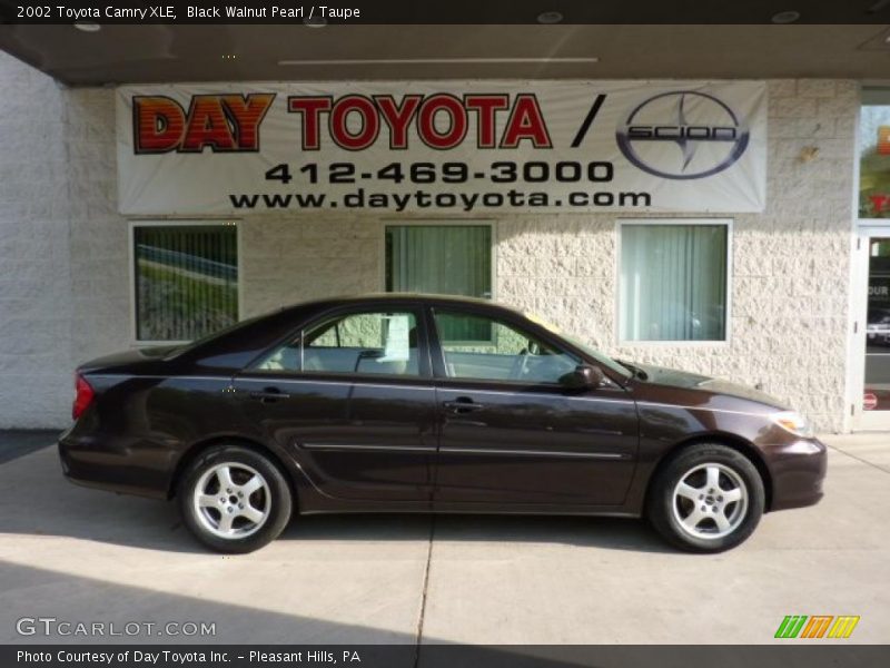 Black Walnut Pearl / Taupe 2002 Toyota Camry XLE