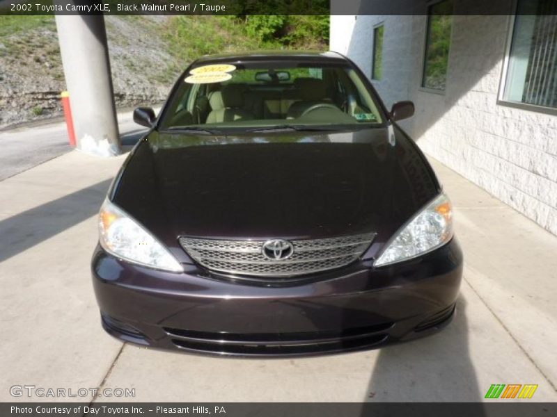 Black Walnut Pearl / Taupe 2002 Toyota Camry XLE