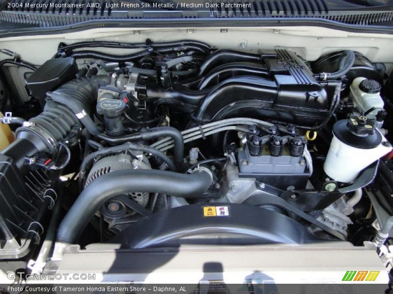Light French Silk Metallic / Medium Dark Parchment 2004 Mercury Mountaineer AWD
