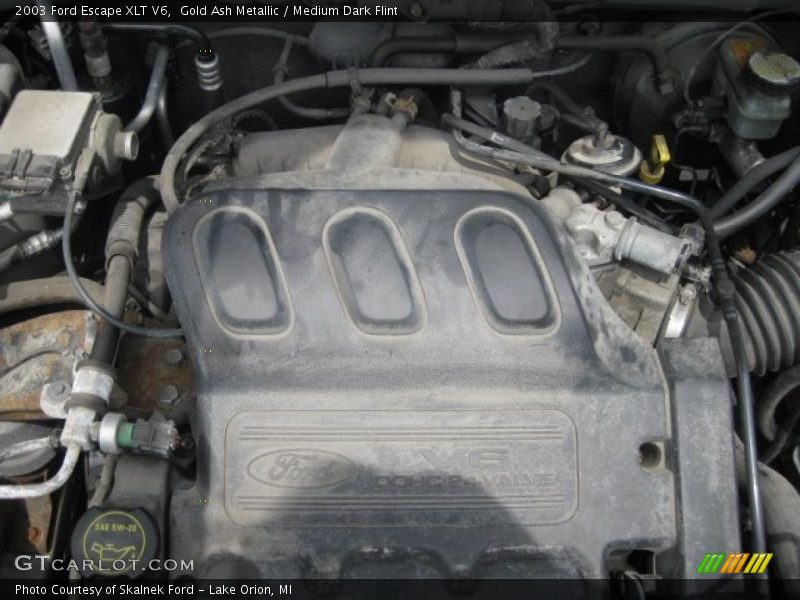 Gold Ash Metallic / Medium Dark Flint 2003 Ford Escape XLT V6