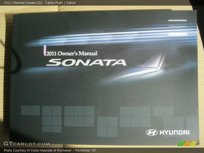 Camel Pearl / Camel 2011 Hyundai Sonata GLS