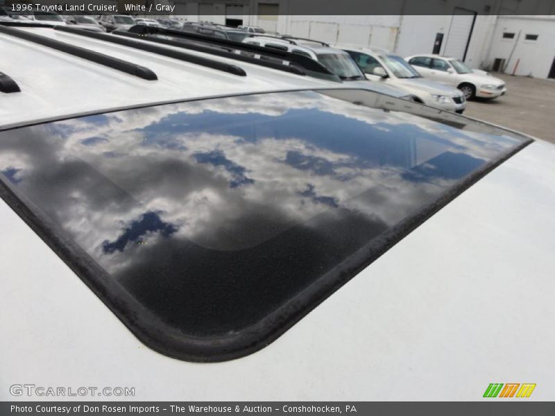White / Gray 1996 Toyota Land Cruiser