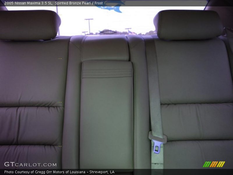 Spirited Bronze Pearl / Frost 2005 Nissan Maxima 3.5 SL