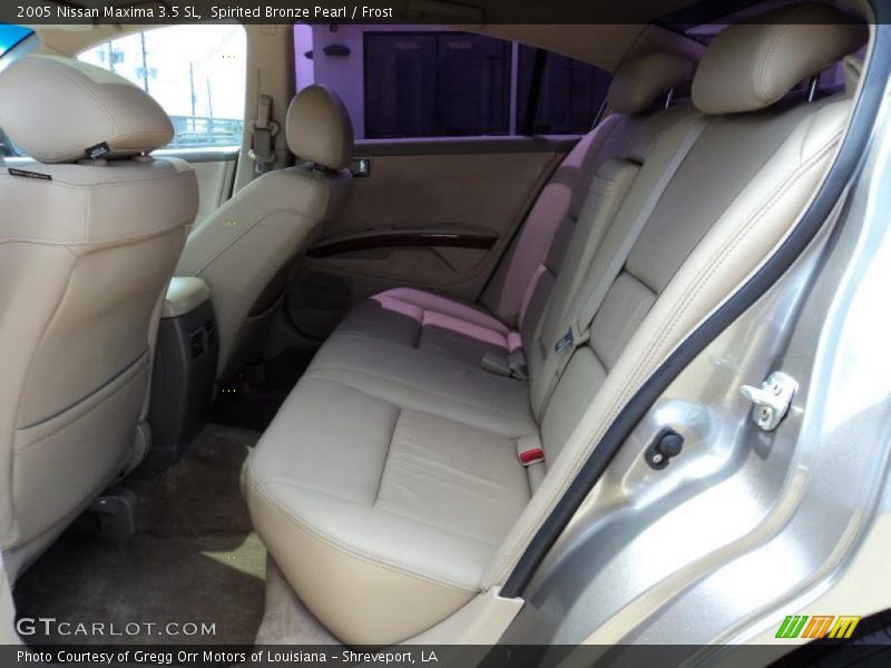 Spirited Bronze Pearl / Frost 2005 Nissan Maxima 3.5 SL