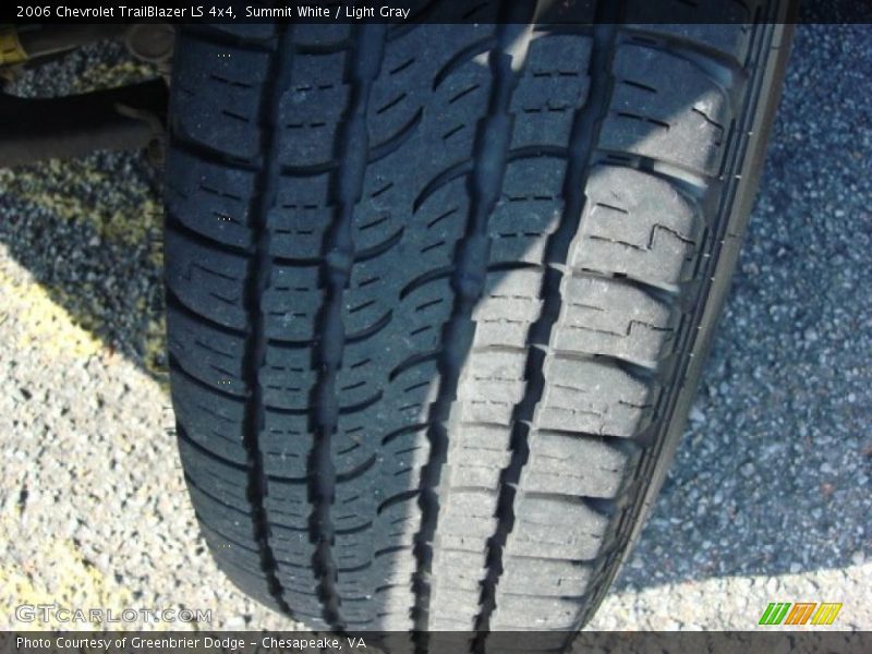 Summit White / Light Gray 2006 Chevrolet TrailBlazer LS 4x4