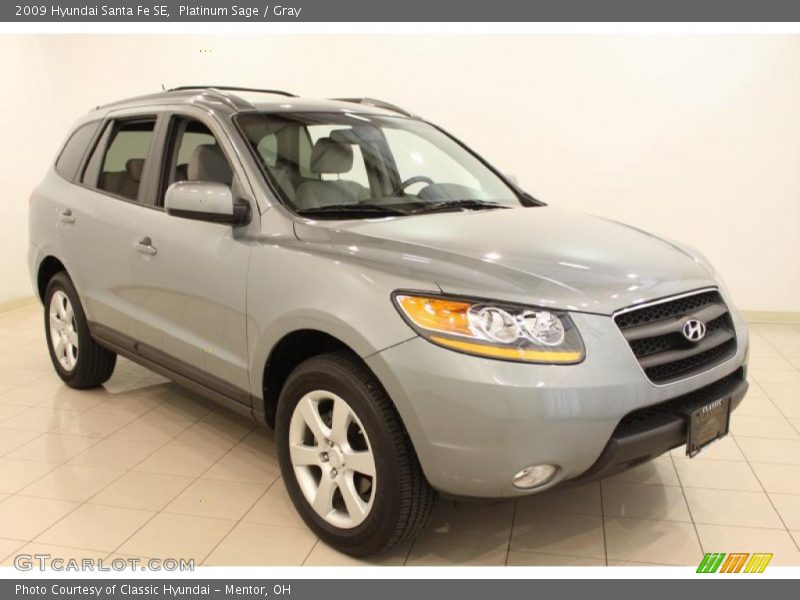 Platinum Sage / Gray 2009 Hyundai Santa Fe SE