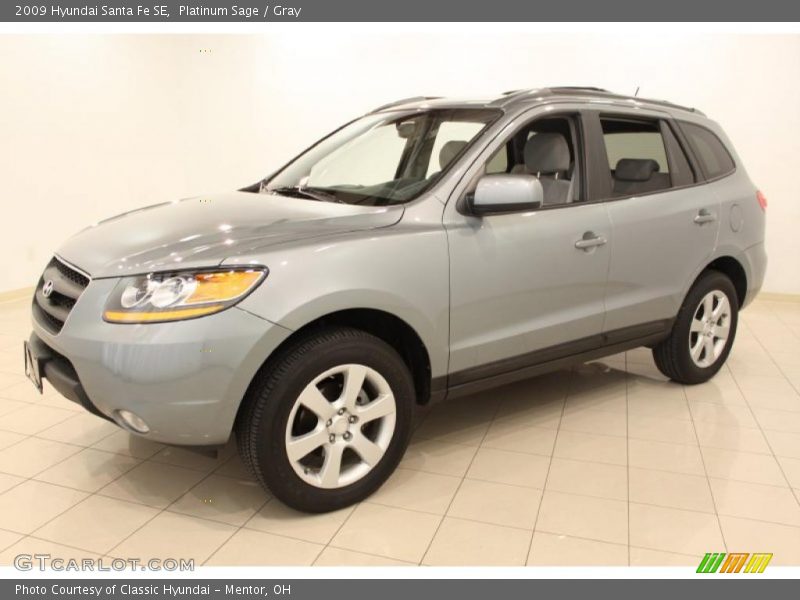 Platinum Sage / Gray 2009 Hyundai Santa Fe SE