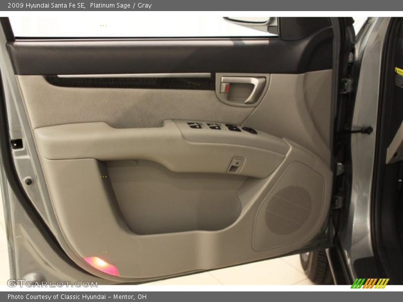 Platinum Sage / Gray 2009 Hyundai Santa Fe SE