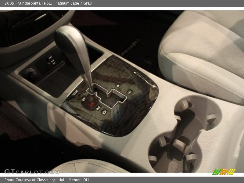 Platinum Sage / Gray 2009 Hyundai Santa Fe SE