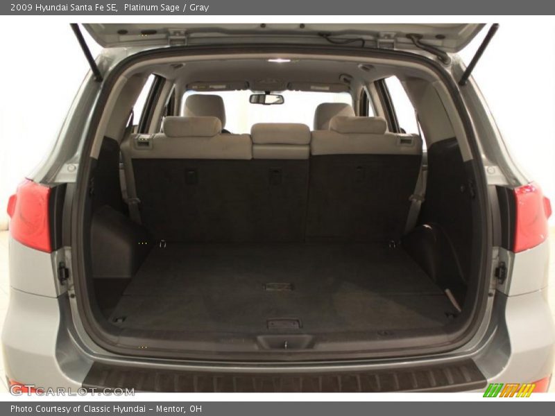 Platinum Sage / Gray 2009 Hyundai Santa Fe SE