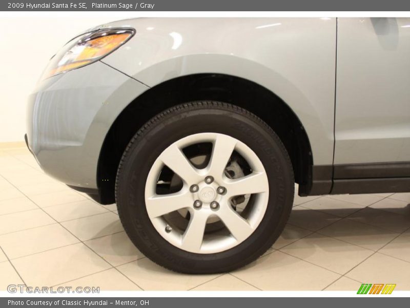 Platinum Sage / Gray 2009 Hyundai Santa Fe SE
