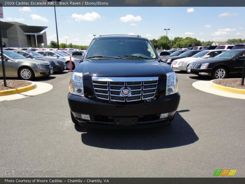 Black Raven / Ebony/Ebony 2009 Cadillac Escalade AWD