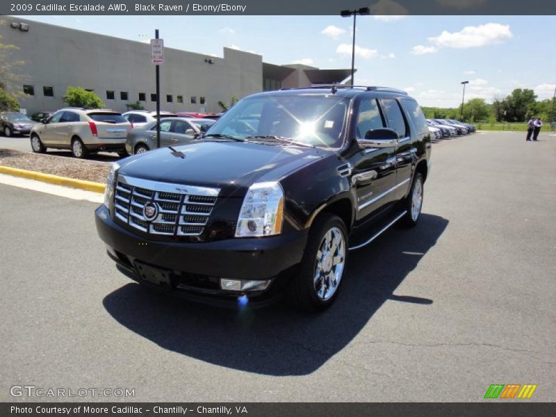 Black Raven / Ebony/Ebony 2009 Cadillac Escalade AWD