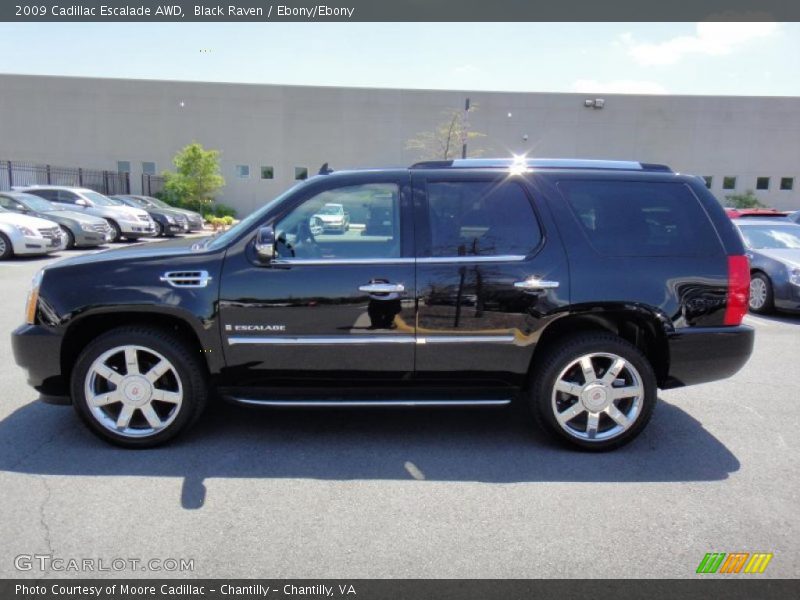 Black Raven / Ebony/Ebony 2009 Cadillac Escalade AWD