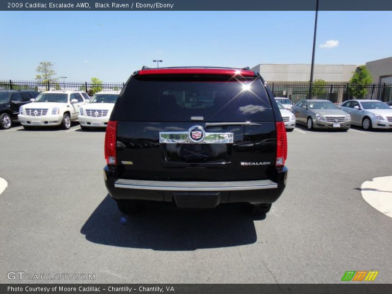 Black Raven / Ebony/Ebony 2009 Cadillac Escalade AWD