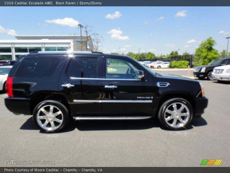 Black Raven / Ebony/Ebony 2009 Cadillac Escalade AWD