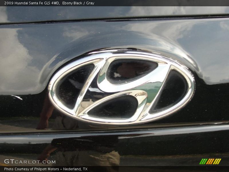 Ebony Black / Gray 2009 Hyundai Santa Fe GLS 4WD