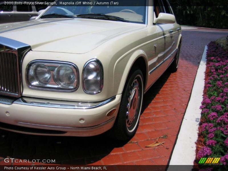Magnolia (Off White) / Autumn (Tan) 2000 Rolls-Royce Silver Seraph