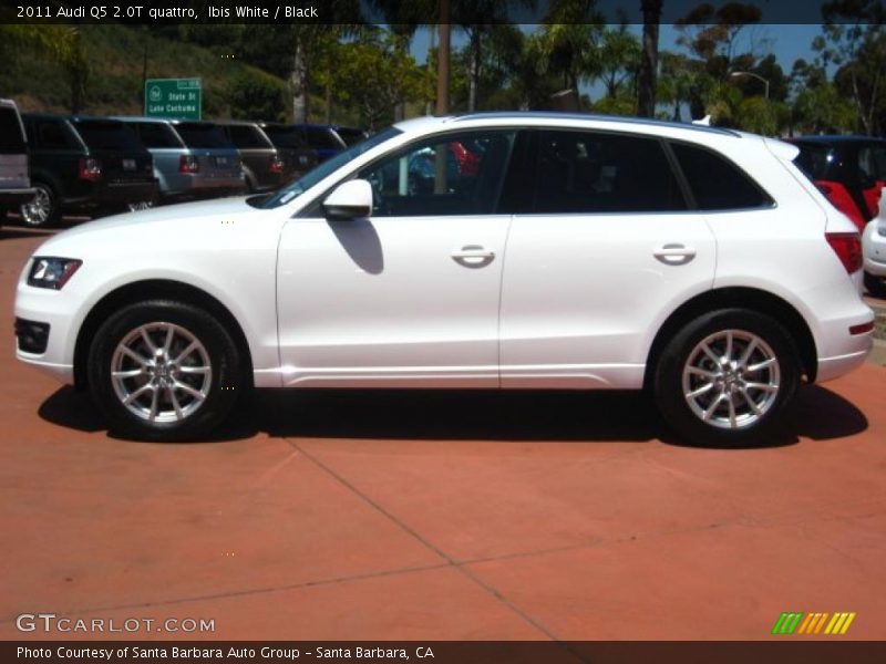 Ibis White / Black 2011 Audi Q5 2.0T quattro